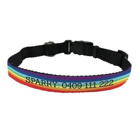 Rainbow Pet Collar - Small