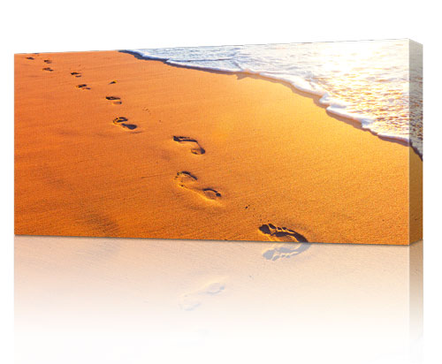 Panoramic Canvas