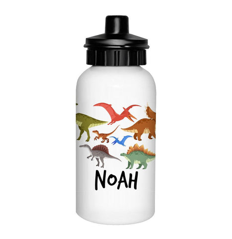 Dinosaur Mix Drink Bottle